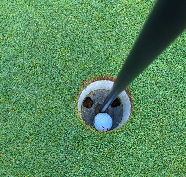 tim's golf ball in the hole