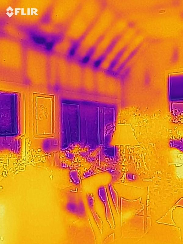 FLIR thermal image