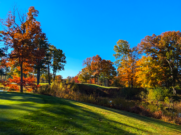 fall trees at lochmere golf course nh