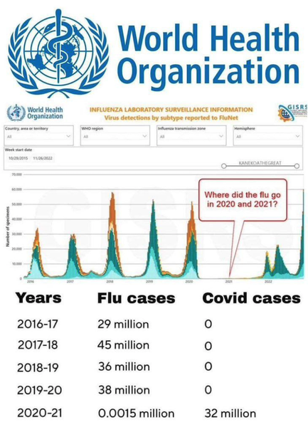 WHO No Flu Data