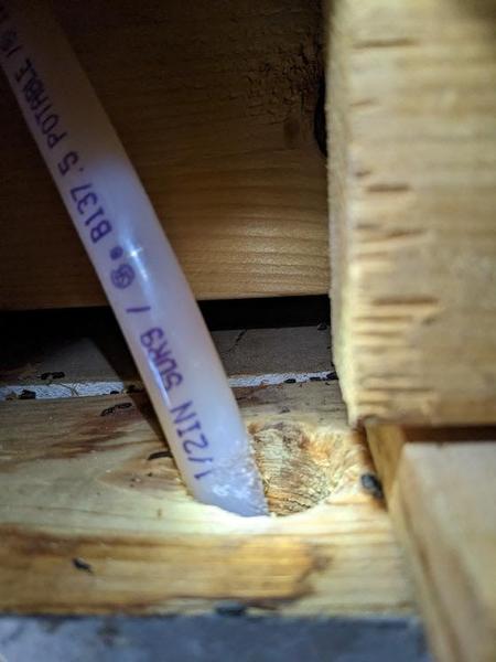 pex pipe passing through top plate of wall