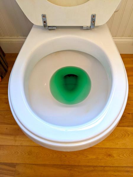 toilet bowl with green sewer gas water