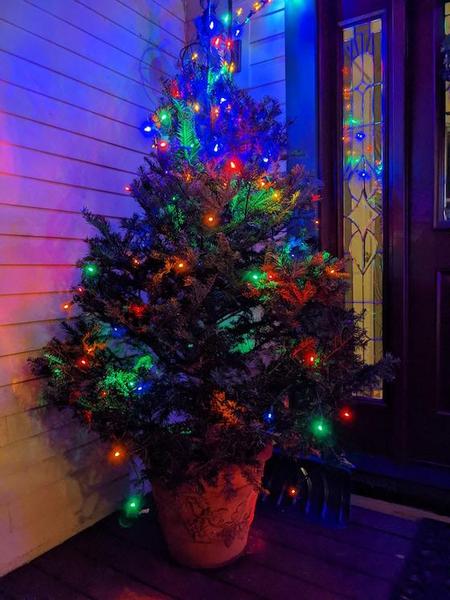 christmas tree on porch