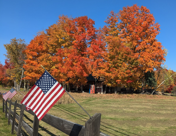 orange and red trees along a wood fence