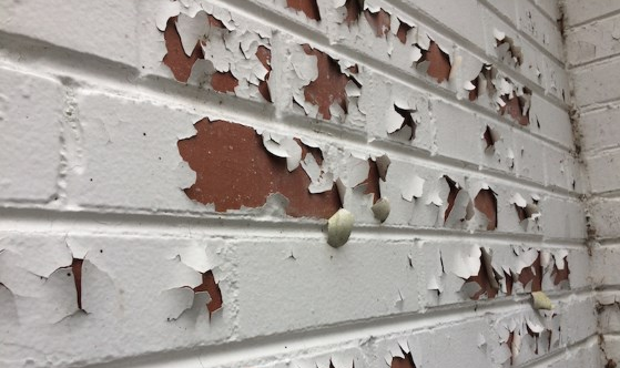 peeling paint on brick
