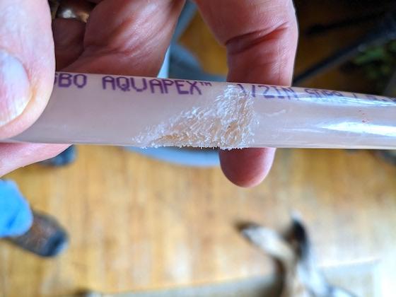 pex pipe gnawed by mouse