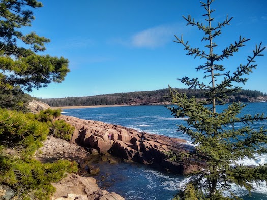 Sand Beach Acadia