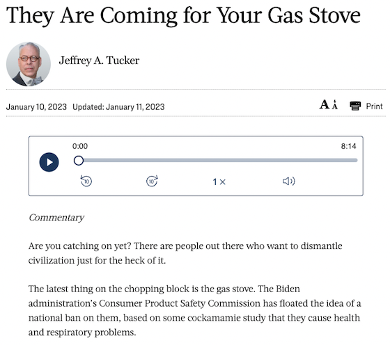screenshot from epoch times gas stove story