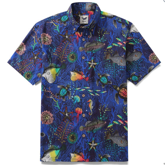 colorful blue hawaiian shirt