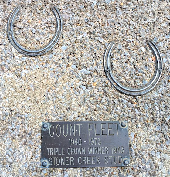 count fleet horse shoes