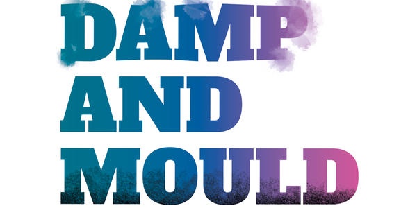 Damp and mould graphic.