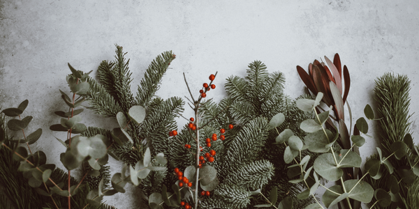 Christmas foliage and berries.