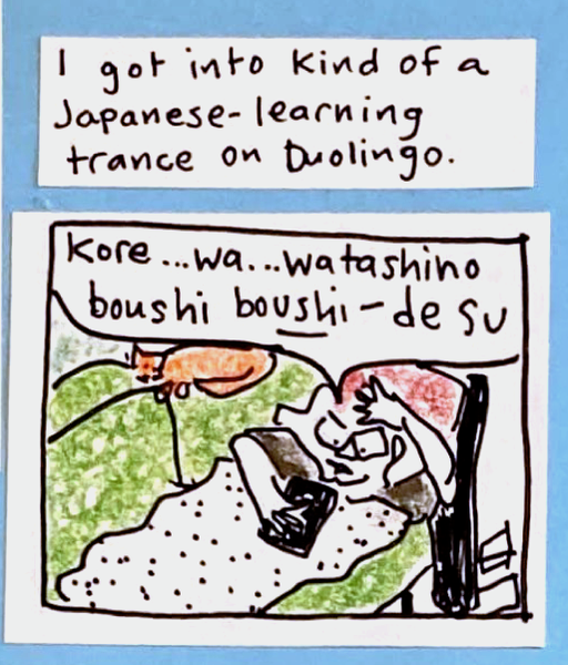I got into kind of a Japanese-learning trance on Duolingo / (carolyn lying on couch under fuzzy blanket looking at phone. orange cat curled on back of couch.) carolyn: kore ... wa... watashino ... boushi ... BOUshi ... desu