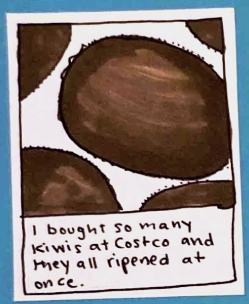 (several kiwis on a white background) I bought so many kiwis at Costco and they all ripened at once.