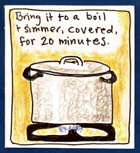 (Covered pot on burner.) Bring it to a boil & simmer, covered, for 20 minutes.