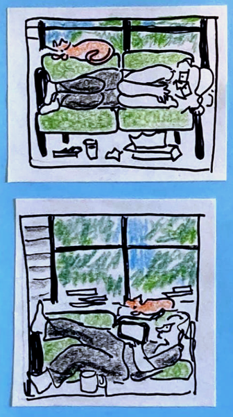 (carolyn lying curled up on green couch. orange cat perched on back of couch. in background, leaves and blue sky. in foreground, water glass, Kleenex box, crumpled tissue) / (carolyn lying on her back on green couch, looking at phone. foot up. orange cat curled up on back of couch.  in background, trees and blue sky. In foreground, coffee cup. )