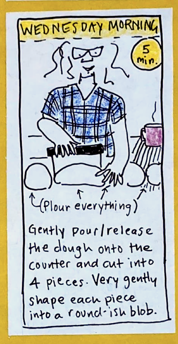 (carolyn using a bench scraper to cut up dough; cup of coffee in the background) WEDNESDAY MORNING (5 minutes): Flour everything. Gently pour/release the dough onto the counter and cut into 4 pieces. Very gently shape each piece into a round-ish blob. 