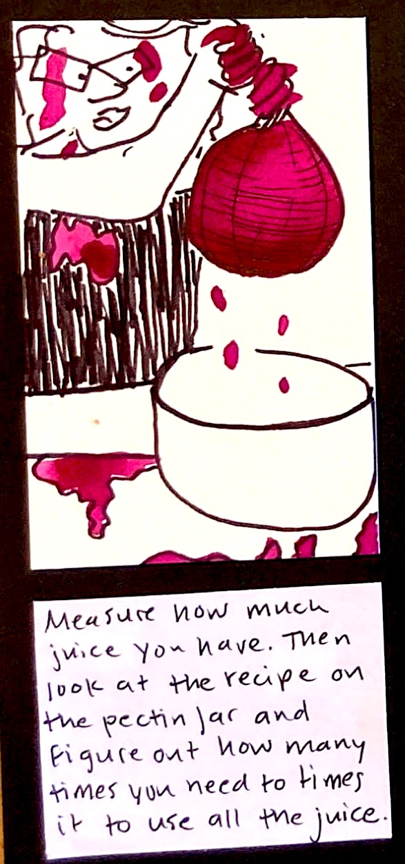 (carolyn holding up big round cheesecloth bag of drippy raspberry goo. juice dripping into bowl. juice on carolyn's shirt, face, and neck, and on the counter.) / Measure how much juice you have. Then look at the recipe on the pectin jar and figure out how many times you need to times it to use all the juice. 