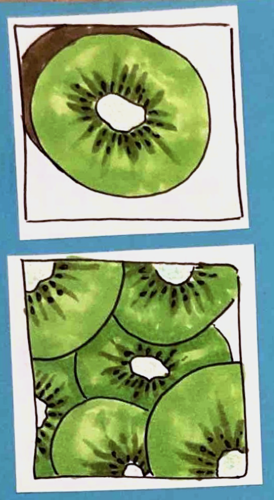 (half a kiwi, seen from the green side) (many slices of kiwi)