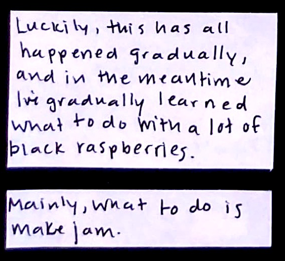 Luckily, this has all happened gradually, and in the meantime I've gradually learned what to do with a lot of black raspberries. / Mainly, what to do is make jam. 
