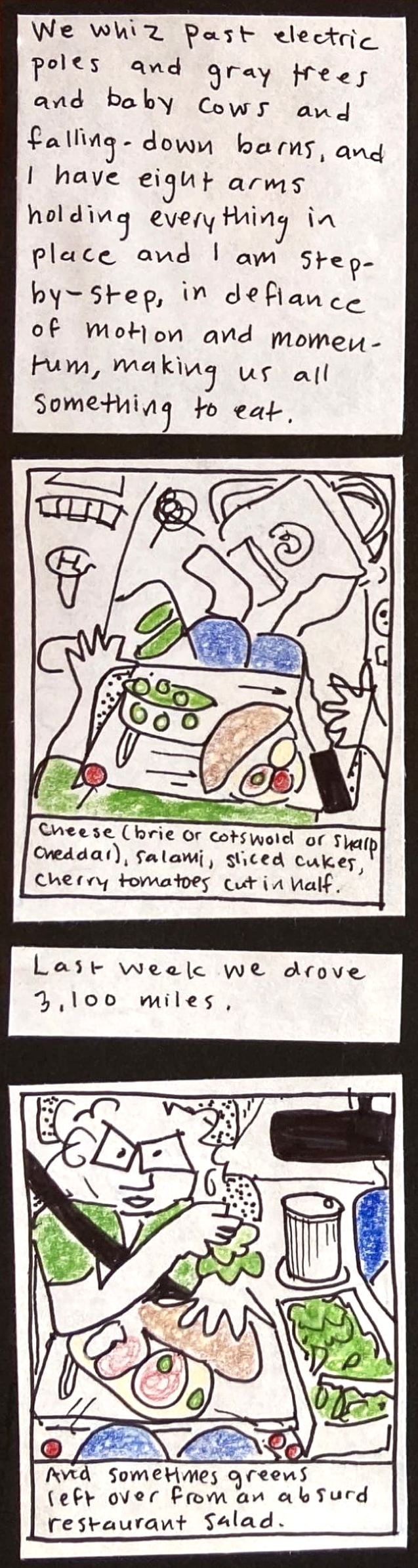 We whiz past electric poles and gray trees and baby cows and falling-down barns, and I have eight arms holding everything in place and I am step-by-step, in defiance of motion and momentum, making us all something to eat. // (view of sandwich ingredients sliding around on carolyn's lap, from above)  cheese — brie or cotswold or sharp cheddar), salami, sliced cukes, cherry tomatoes cut in half // Last week we drove 3,100 miles. // (Carolyn holding down slippery
sandwich while grabbing a handful of greens, looking serious and very much crammed into the passenger seat.) And sometimes greens left over from an absurd restaurant salad.