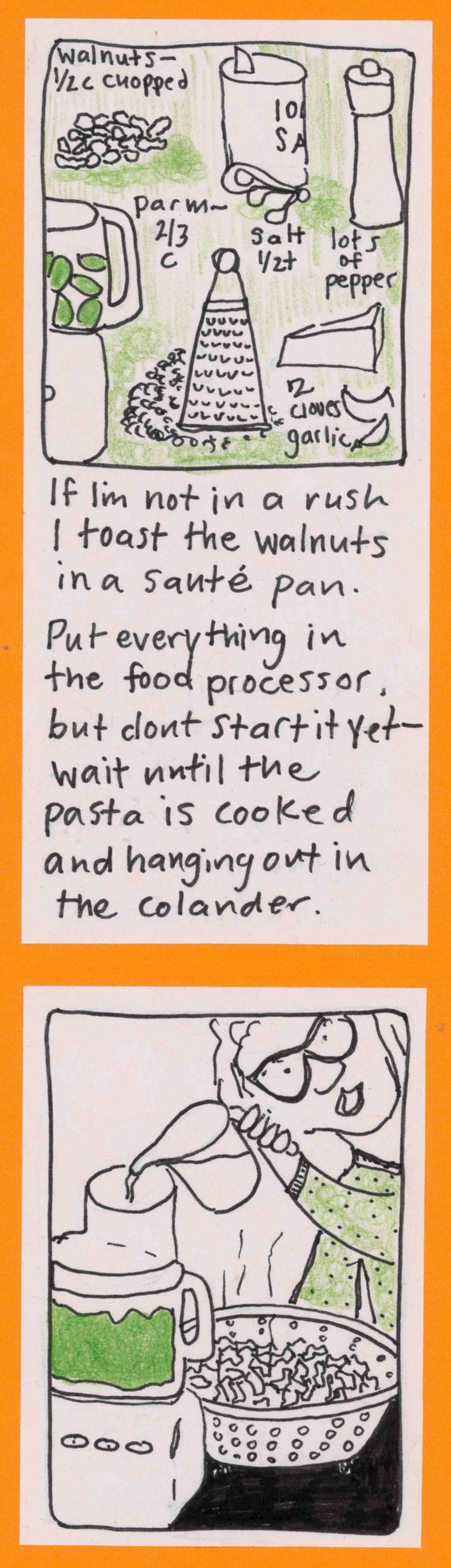 (drawings of ingredients) walnuts - 1/2 c chopped; 1/2 t salt; 2 cloves garlic; lots of black pepper; 2/3 c parmesan / If I'm  not in a rush I toast the walnuts in a sauté pan. Put everything in the food processor, but don't start it yet — wait until the pasta is cooked and hanging out in the colander. / carolyn pouring oil into food processor full of green goop; pasta steaming in the colander / Then whirl it up. Scrape down the sides a few times and get
everything very small and pasty. Then, with the food processor running, slowly drizzle in 1/2 cup olive oil. / (pot of green, steaming pasta) It doesn't stay beautifully green very long, so stir it into the pasta and eat it right away. / Will Instagram know about this one too? Stay tuned. 