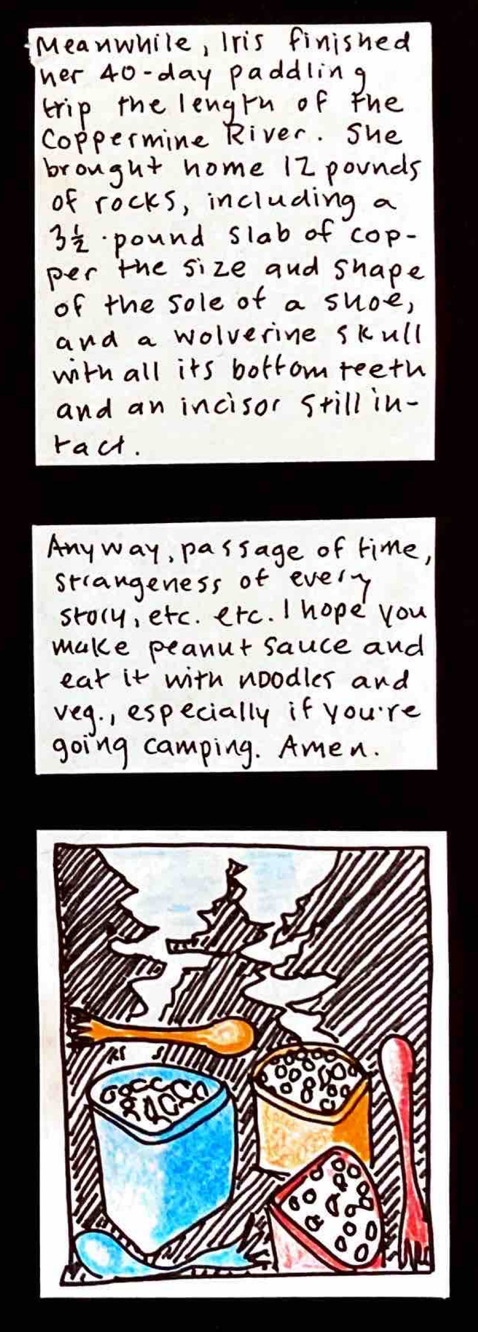 Meanwhile, Iris finished her 40-day paddling trip the length of the Coppermine River. She brought home 12 pounds of rocks, including a 3.5-pound slab of copper the size and shape of the sole of a shoe, and a wolverine skull with all its bottom teeth an an upper incisor still intact. / Anyway, passage of time, strangeness of every story, etc. etc. I hope you make peanut sauce and eat it with noodles and veg, especially if you're going camping. Amen. / (3 cups of
noodle-y peanutty goodness, 3 sporks , tree silhouettes in the background.)