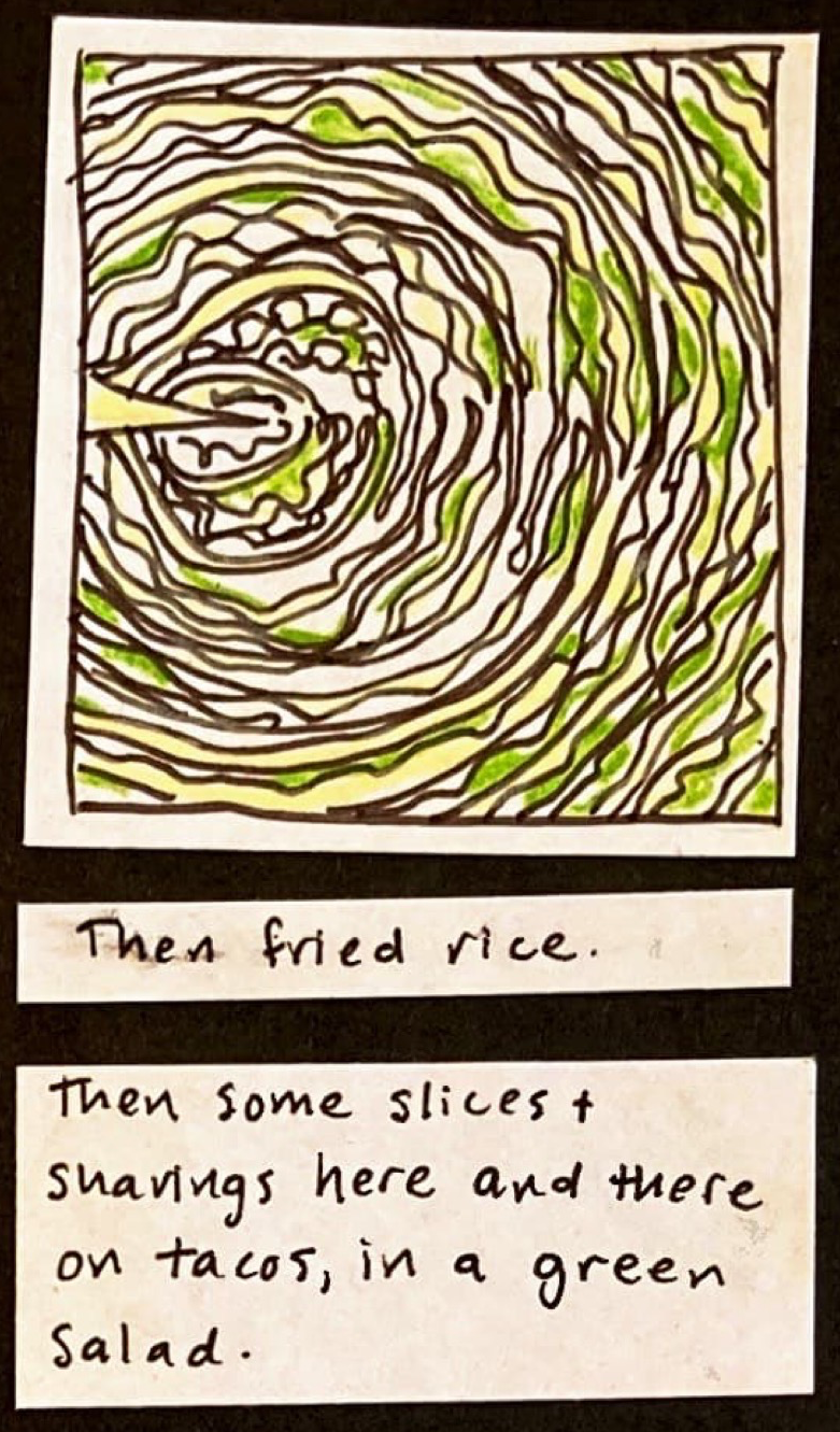 (trippy looking drawing of the inside of a cabbage, the concentric leaves filling up the whole frame.) / Then fried rice. / Then some slices and shavings here and there on tacos, in a green salad.