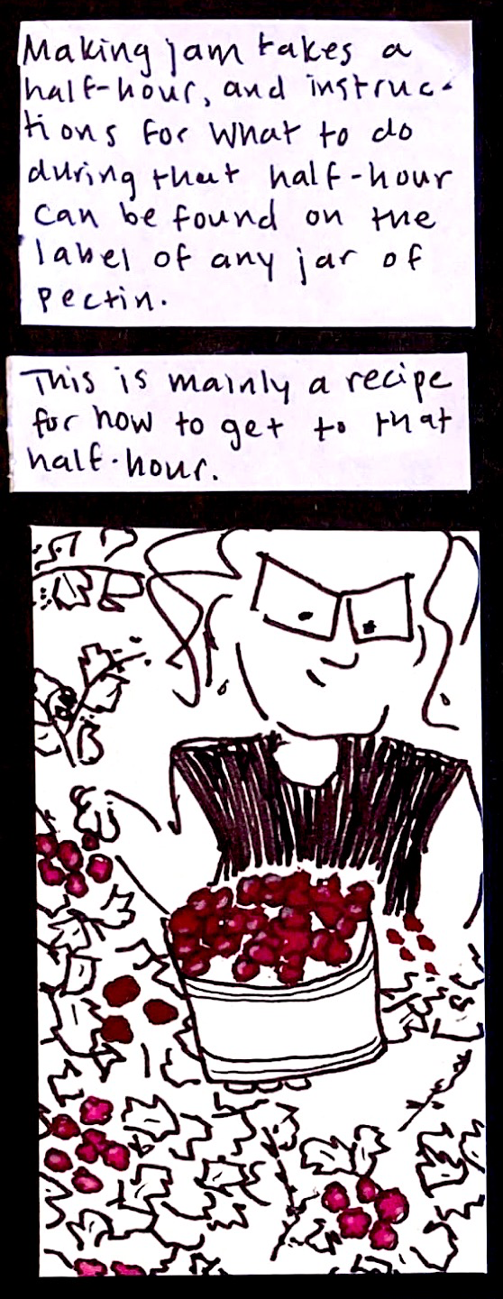 Making jam takes a half-hour, and instructions for what to do during that half-hour can be found on the label of any jar of pectin. / This is mainly a recipe for how to get to that half-hour. / (carolyn picking berries)