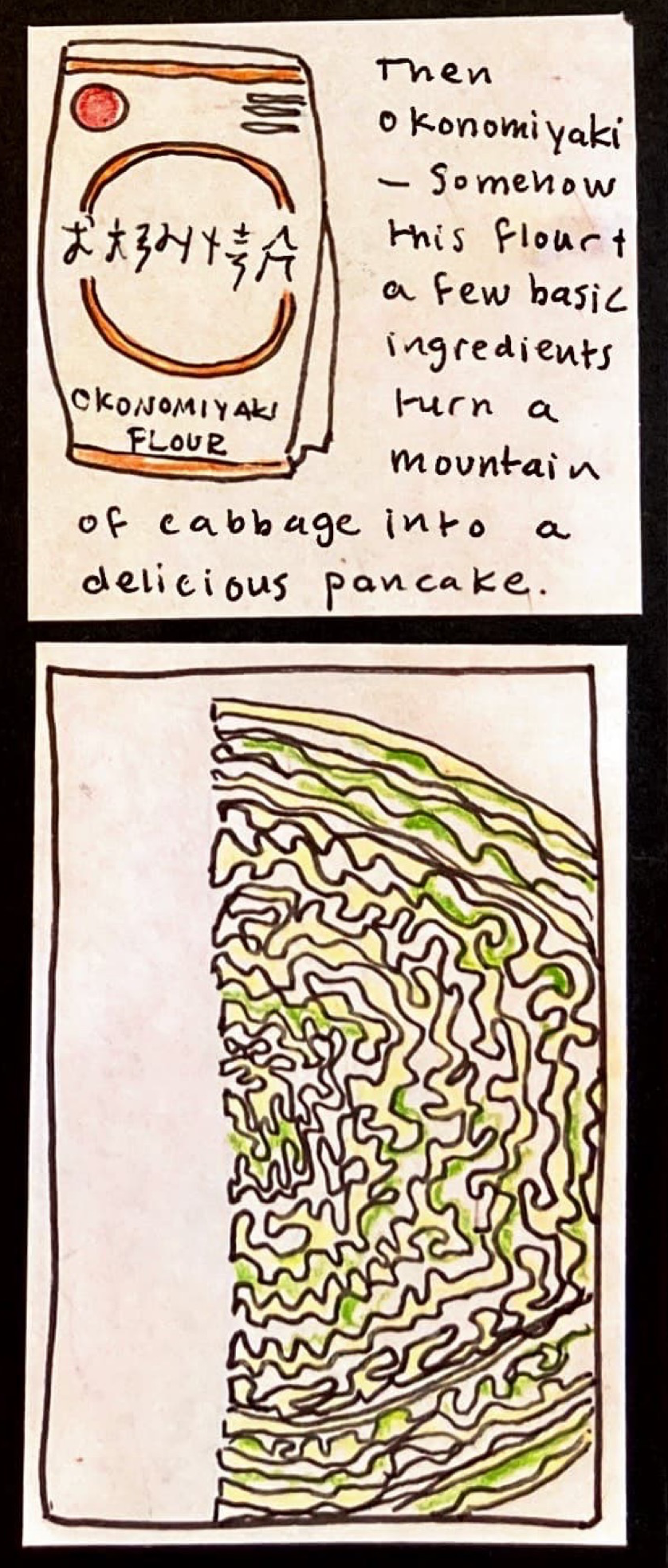 (drawing of okonomiyaki flour bag) / Then okonomiyaki — somehow this flour + a few basic ingredients turn a mountain of cabbage into a delicious pancake. / (Trippy looking drawing of a cross section of a quarter of a cabbage.)