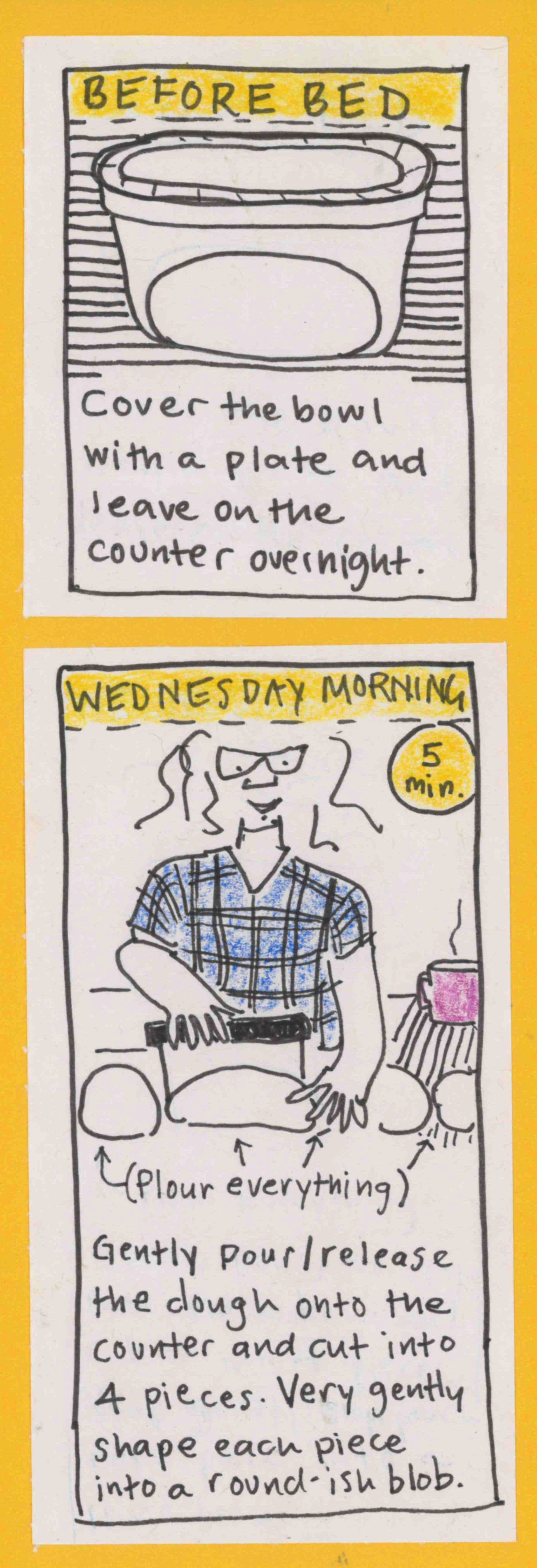 BEFORE BED Cover the bowl with ap late and leave on the counter overnight. / WEDNESDAY MORNING Flour everything. Gently pour/release the dough onto the counter and cut into 4 pieces. Very gently shape each piece into a roundish blob. (5 min.)