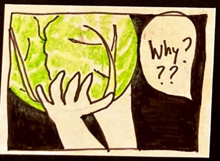 Hands holding up enormous cabbage.) Person holding cabbage: WHY???? / She seemed intimidated at first.
