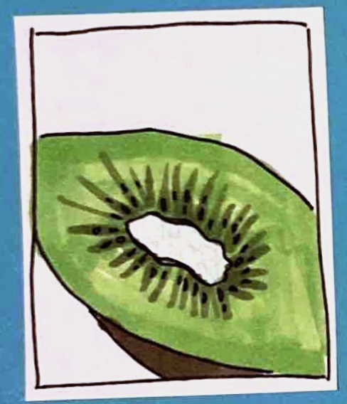 (half a kiwi. many little black seeds around a pale pale green center)
