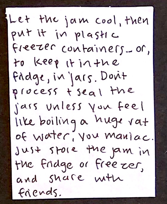 Let the jam cool, then put it in plastic freezer containers — or, to keep it in the fridge, in jars. Don't process and seal the jars unless you feel like boiling a huge vat of water, you maniac. Just store the jam in the fridge or freezer, and share with friends. 