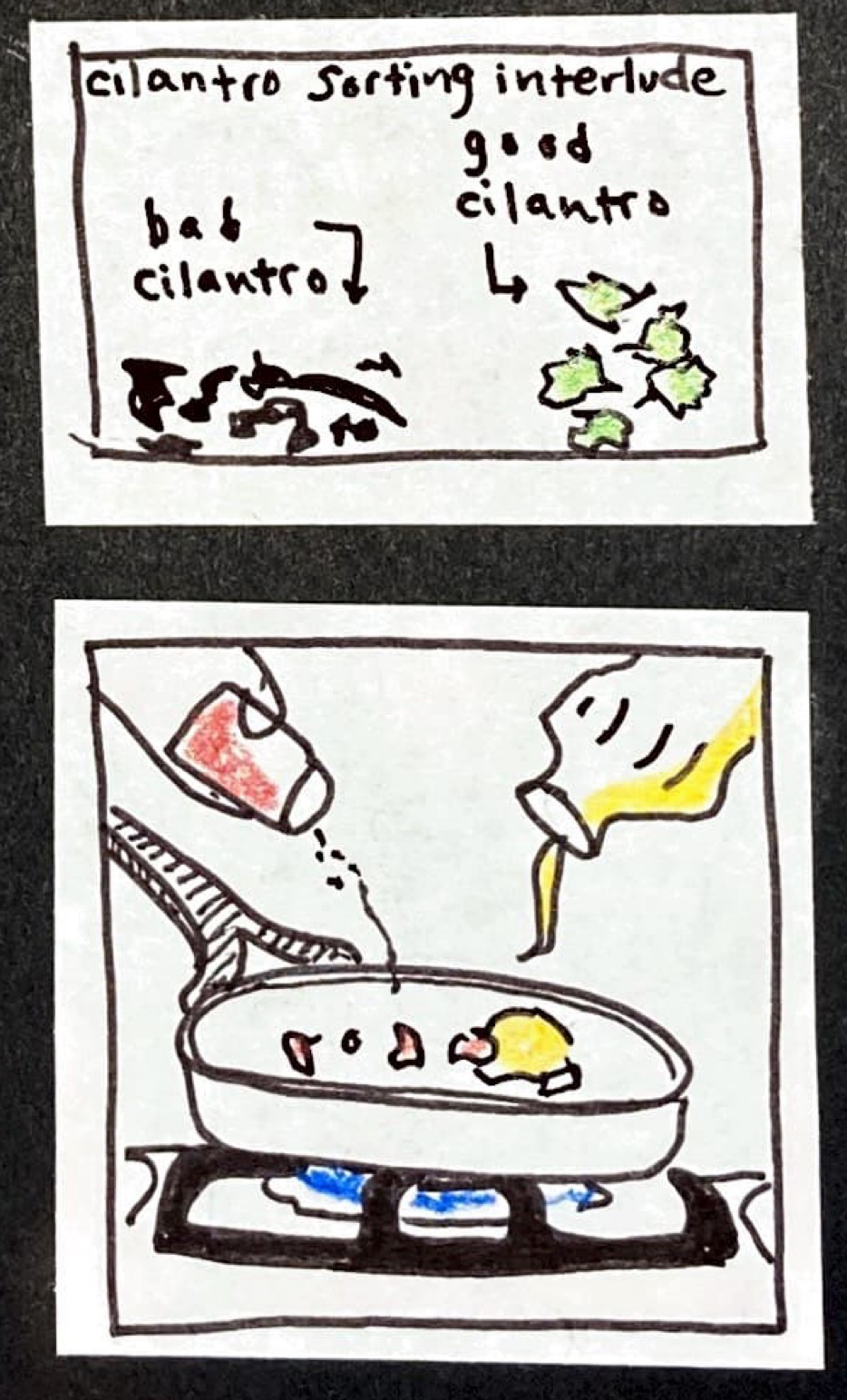 cilantro sorting interlude (pile of wilted/black leaves, labelled "bad cilantro") (5 green leaves, labelled "good cilantro") / (frying pan on burner, puddle of oil being poured in, red powder being sprinkled)