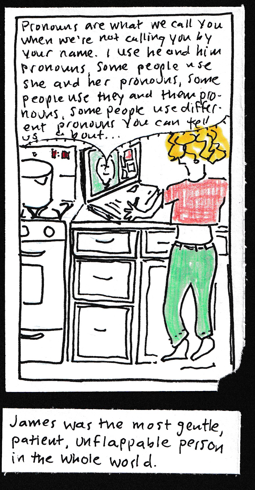 (Ingrid standing at kitchen counter with open laptop. Big pot on the stove. Laptop shows one big face and many small windows). Big face: Pronouns are what we call you when we're not calling you by your name. I use he  and him pronouns, some people use she and her pronouns, some people use they and them pronouns, some people use different pronouns you can tell us about..." / James was the most gentle, patient, unflappable person in the whole world.
