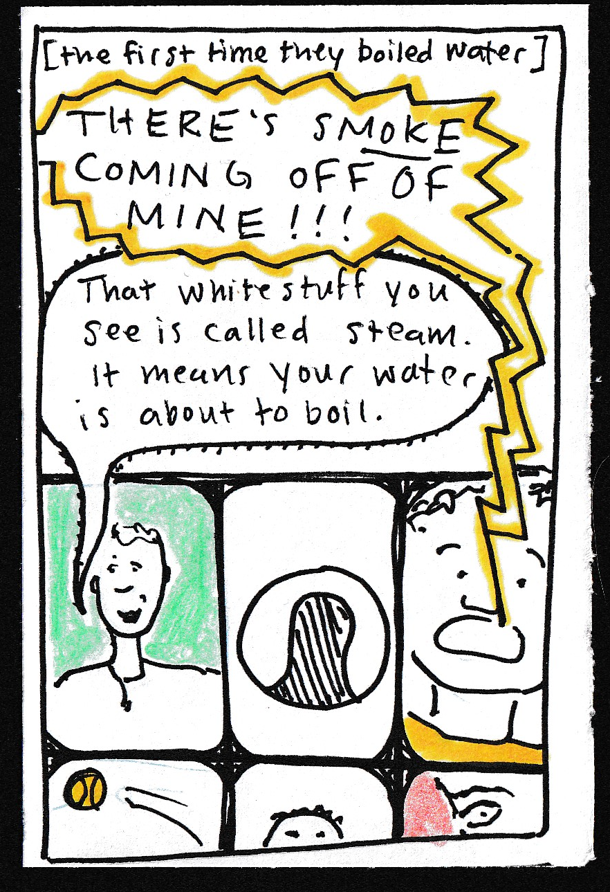 [the first time they boiled water] Portion of laptop screen with six windows visible: tennis ball flying thru air; top of somebody's head; eyeball; anonymous head/shoulders symbol; James; kid with big worried face. KWBWF: "THERE"S SMOKE COMING OFF OF MINE!!!"; James: That white stuff you see is called steam. It means your water is about to boil.