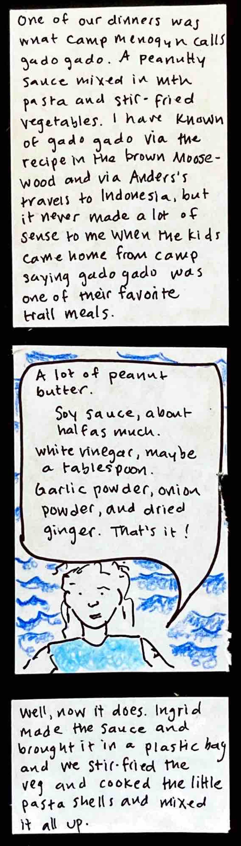 It was a delight — full of flavor and nourishing and filling / (sauce in a plastic bag. dry pasta in a plastic bag. little piles of fresh garlic and ginger, chopped up, sliced carrots, chopped cabbage, sliced bell peppers, all on brightly colored plates. / 