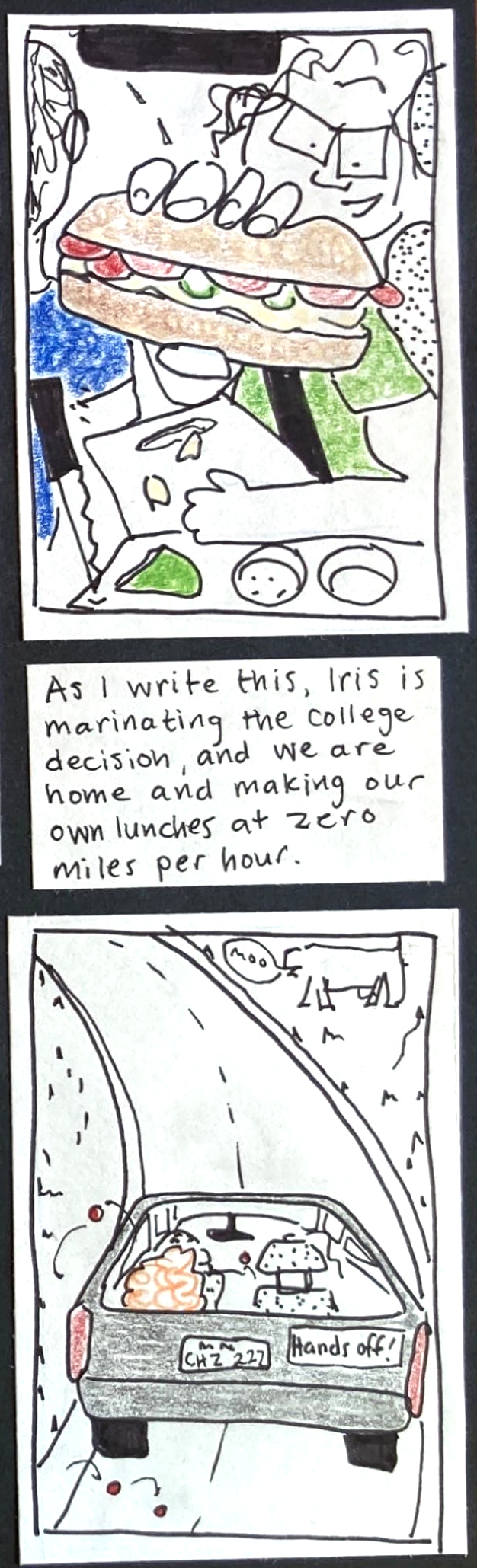 (carolyn turned around in the car, handing you a big sandwich) // As I write this, Iris is marinating the college decision, and we are home and making our own lunches at zero miles per hour. // (back of grey car with iris, anders, and carolyn inside, "hands off" bumpersticker, and cherry tomatoes bouncing out along the road. In background, very badly drawn little cow saying "moo." )
