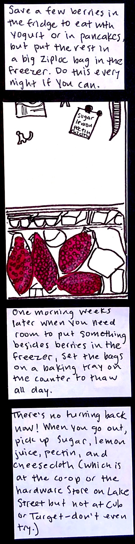 Save a few berries in the fridge to eat with yogurt or in pancakes, but put the rest in a big Ziploc bag in the freezer. Do this every night if you can. / (Open freezer containing 4 large bags of raspberries, stuffed in alongside all kinds of other foods. Fridge door has magnets and a shopping list that reads sugar, lemon, pectin, chz clth) / One morning weeks later when you need room to put something besides berries in the freezer, set the bags on a baking tray
on the counter to thaw all day. / There's no turning back now! When you go out, pick up sugar, lemon juice, pectin, and cheesecloth (which is at the co-op or the hardware store on Lake Street but not at Cub or Target — don't even try). 