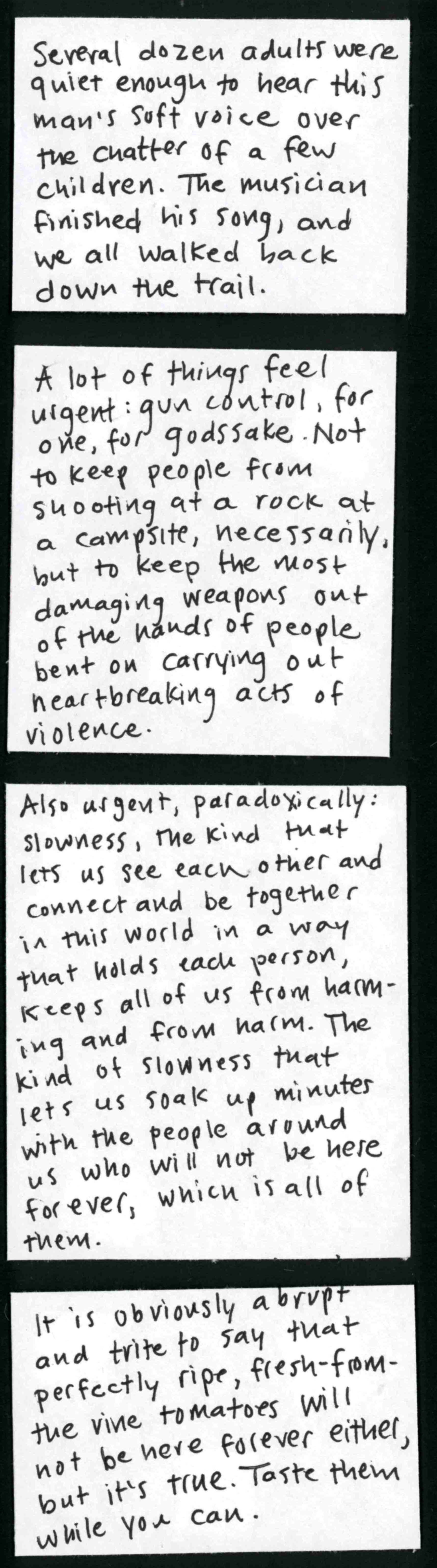 Several dozen adults were quiet enough to hear this man's soft voice over the chatter of a few children. The musician finished his song, and we all walked back down the trail. / A lot of things feel urgent: gun control, for one, for godssake. Not to keep people from shooting at a rock at a campsite, necessarily, but to keep the most damaging weapons out of the hands of people bent on carrying out heartbreaking acts of violence. / Also urgent, paradoxically:
slowness, the kind that lets us see each other and connect and be together in this world in a way that holds each person, keeps all of us from harming and from harm. The kind of slowness that lets us soak up minutes with the people around us who will not be here forever, which is all of them. / It is obviously abrupt and trite to say that perfectly ripe, fresh-from-the-vine tomatoes will not be here forever either, but it's true. Taste them while you can. 