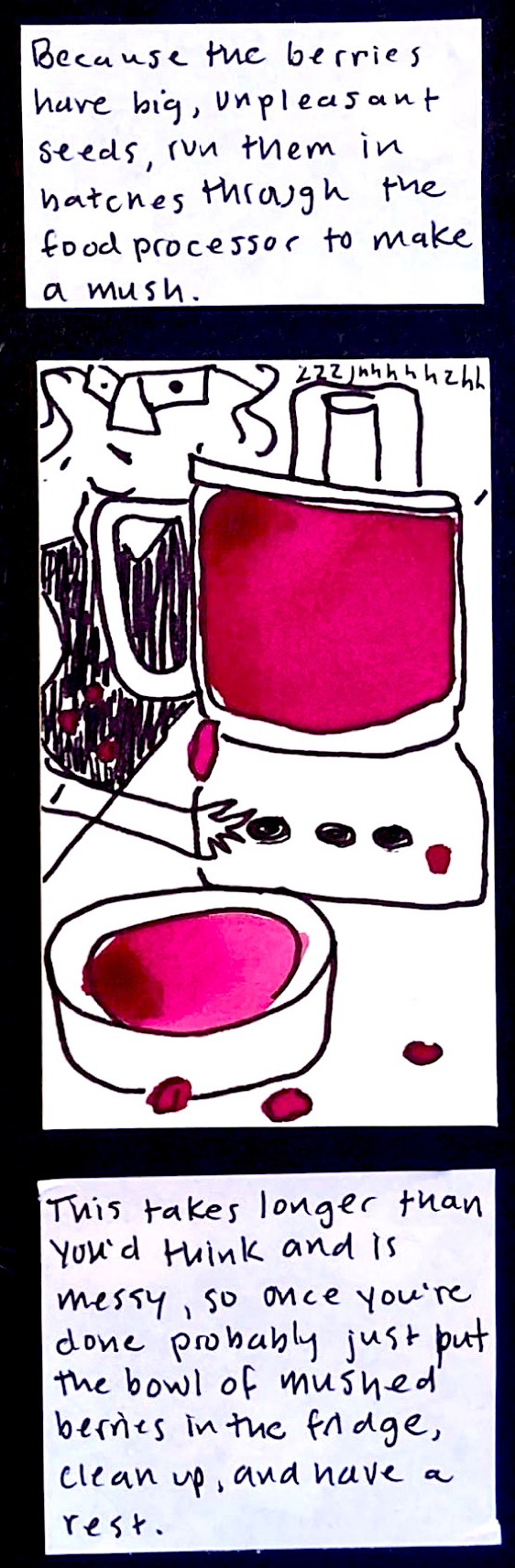 Because the berries have big, unpleasant seeds, run them in batches through the food processor to make a mush. / (carolyn pushing the button on the food processor full of raspberry mush. food processor saying "zzzjnnnnhzzzh". Berry juice in drips down the side of the food processor and on the counter and on carolyn's shirt) / This takes longer than you'd think and is messy, so once you're done probably just put the bowl of mushed berries in the fridge,
clean up, and have a rest. 