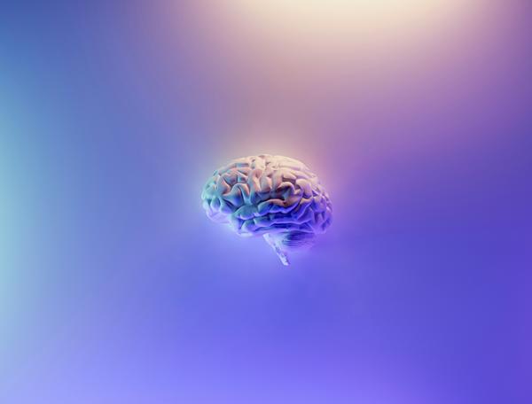 Image of the brain on purple background