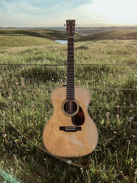 Guitar upright in a field