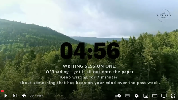 Forest Trees with countdown timer