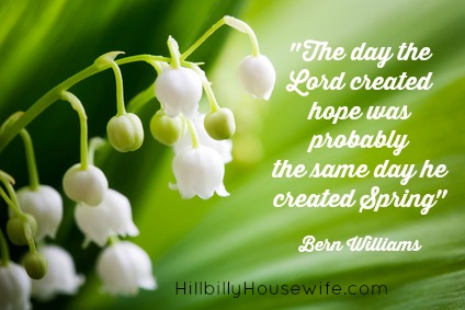 The day the Lord created hope was probably the same day he created Spring - Bern Williams