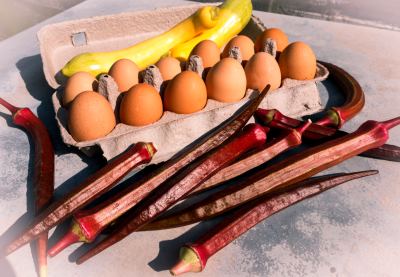 Farmers Market Eggs and Veggies