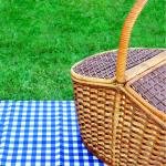 Picnic Basket on a blue checkerboard cloth with green grass in the background.