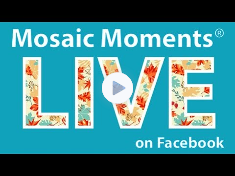 Tami Introduces PHASE TWO DIES!