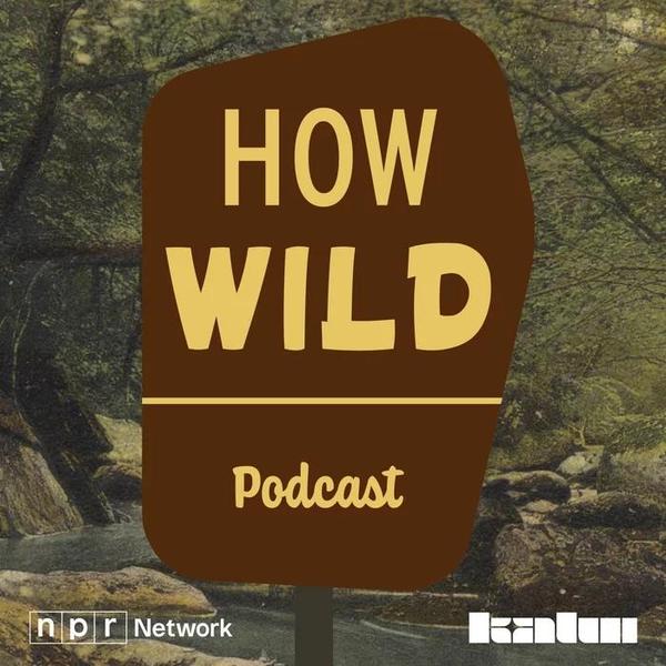 How wild podcast logo